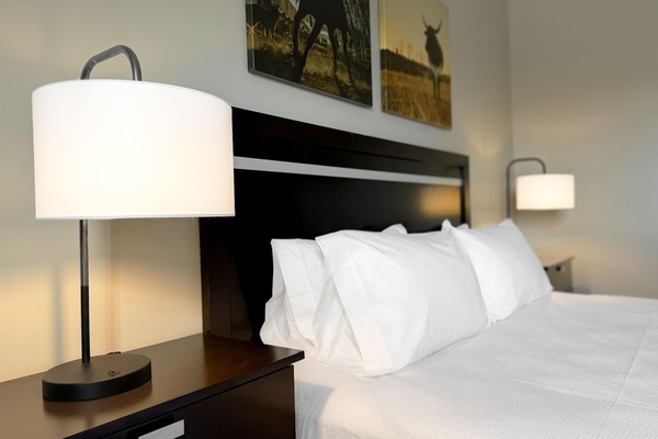 Room, 1 King Bed | Premium bedding, pillowtop beds, blackout drapes, soundproofing
