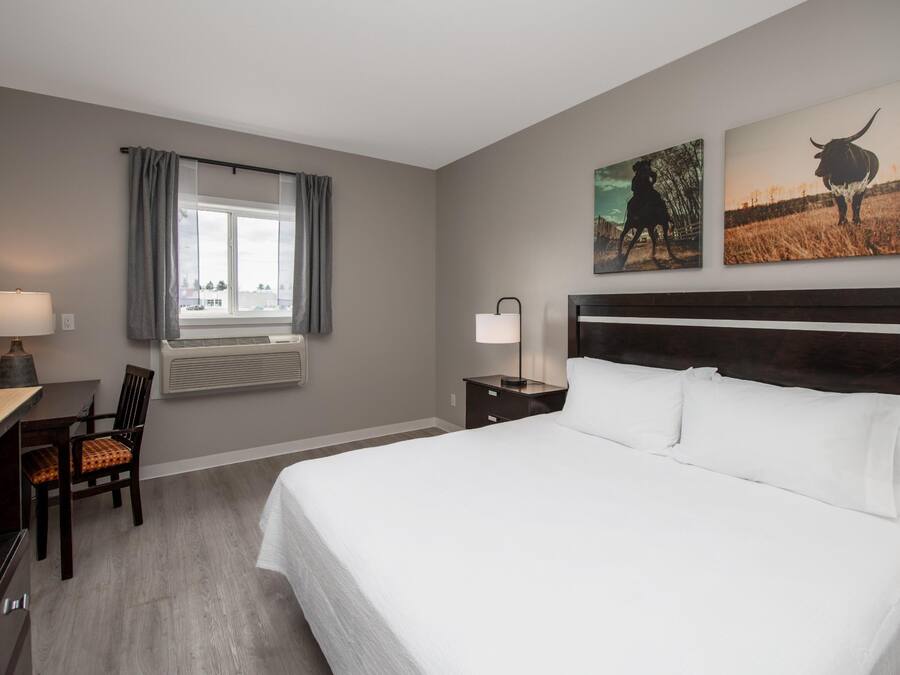 Room, 1 King Bed