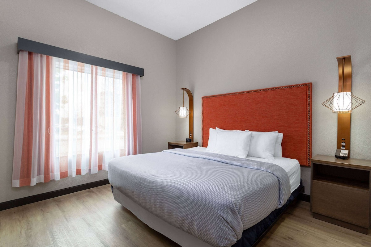 Habitación, 1 cama King size, con acceso para personas discapacitadas (Studio Room, Roll-in Shower) | 1 habitación, caja de seguridad en la habitación y escritorio