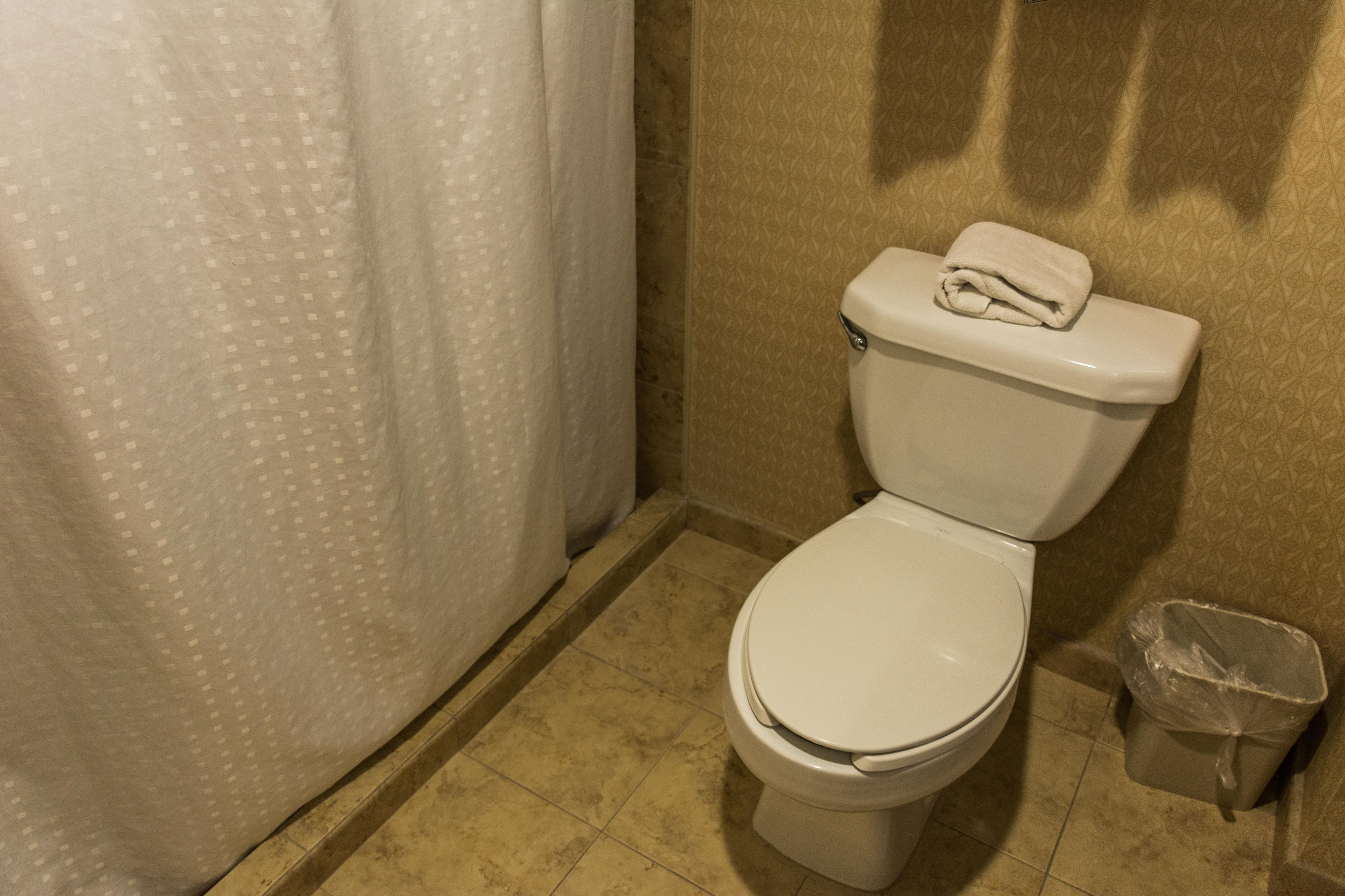 Un baño con inodoro, cortina de ducha y cubo de basura.