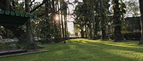A grassy pathway lined with trees and a green structure.
