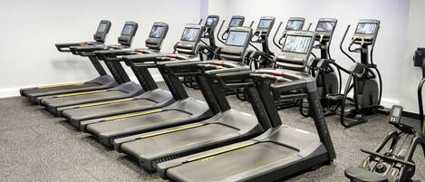 A gym with multiple treadmills and elliptical machines arranged in rows.