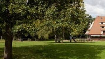 A park with a large tree and a building in the background.