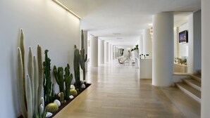 Un couloir d’hôtel moderne, avec un long couloir, des murs blancs et un plancher en bois. De grands cactus et des plantes succulentes sont disposés le long d’un des murs, et on aperçoit au loin un espace détente avec des chaises et des tables.