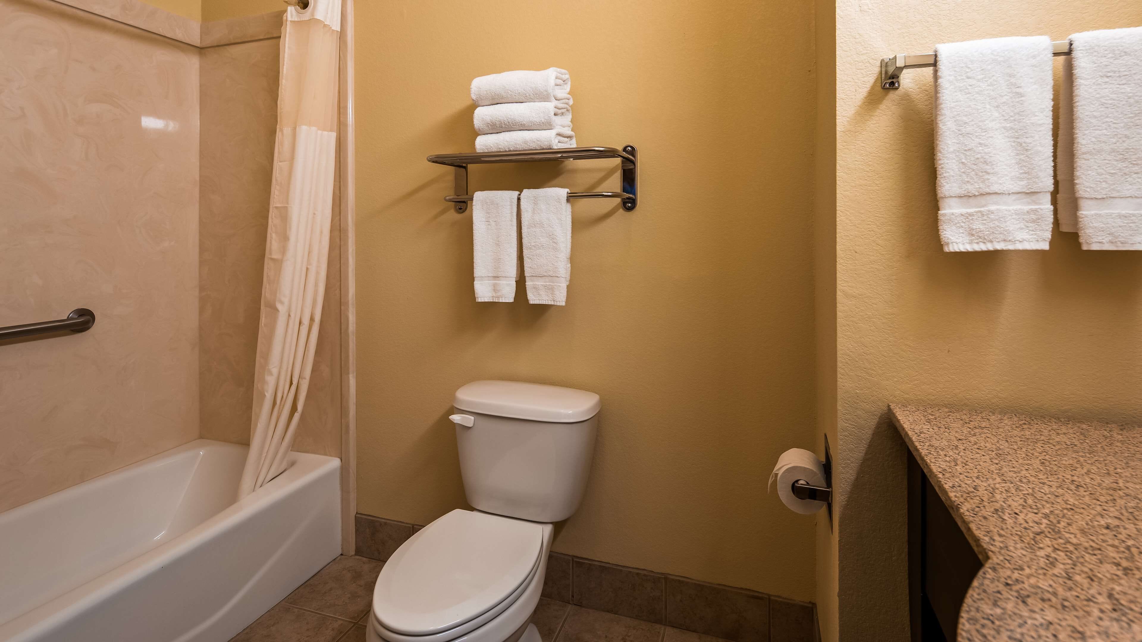 hair dryer, towels, toilet paper