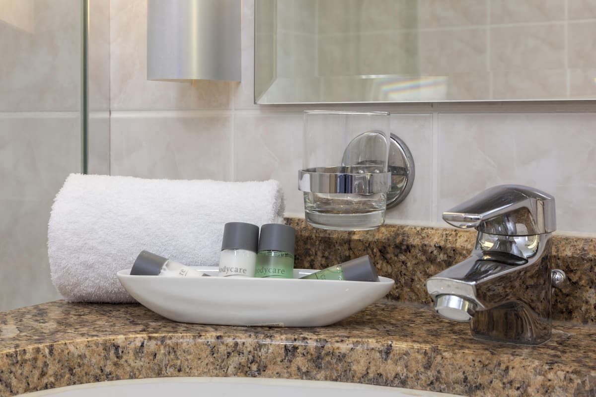 eco-friendly toiletries, hair dryer, towels, soap