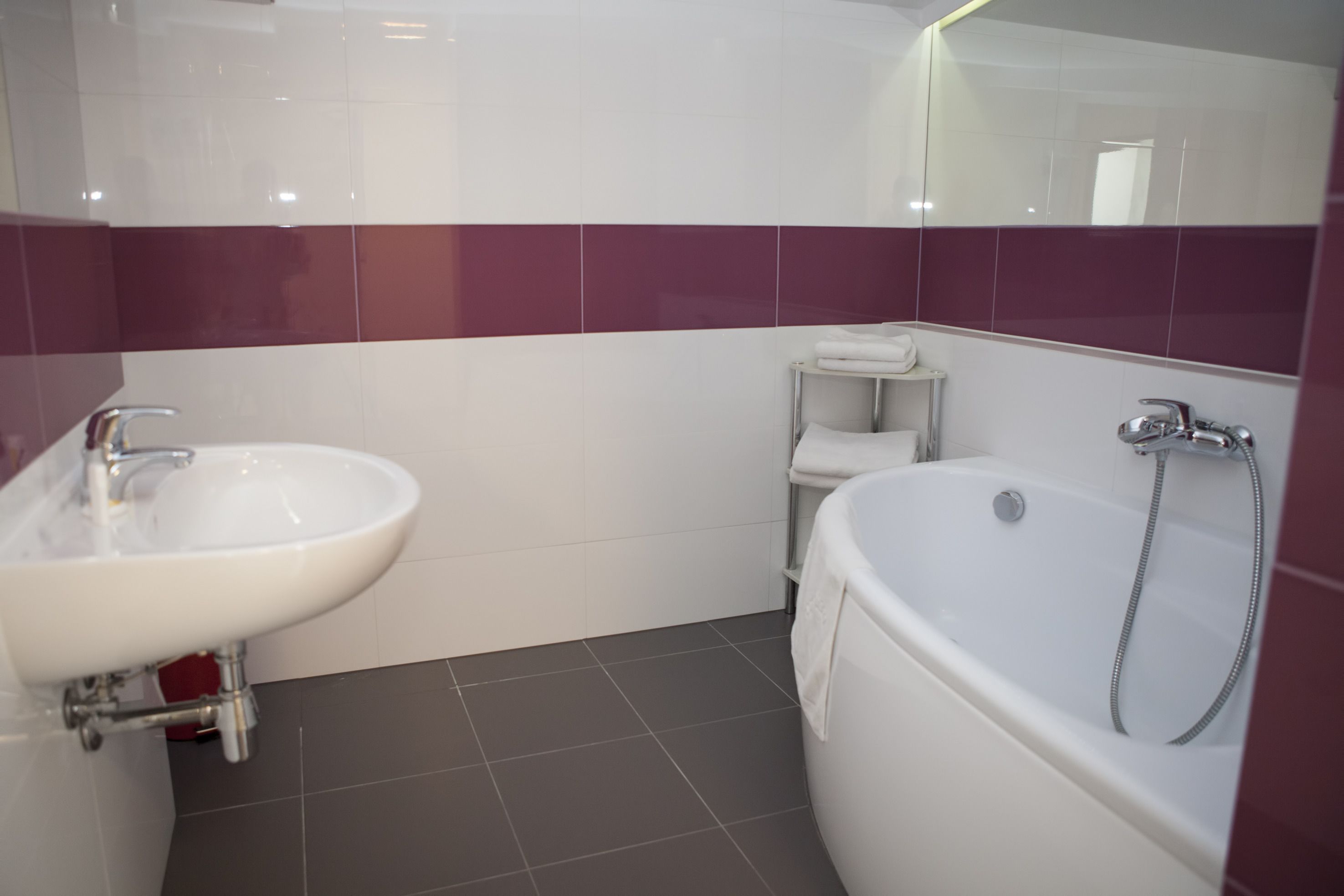 standard double room | bathroom | free toiletries, hair dryer, towels