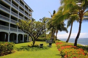 Condo, 1 Bedroom | Property grounds - Lahaina Shores #425 Studio Bedroom Condo by RedAwning (Lahaina)