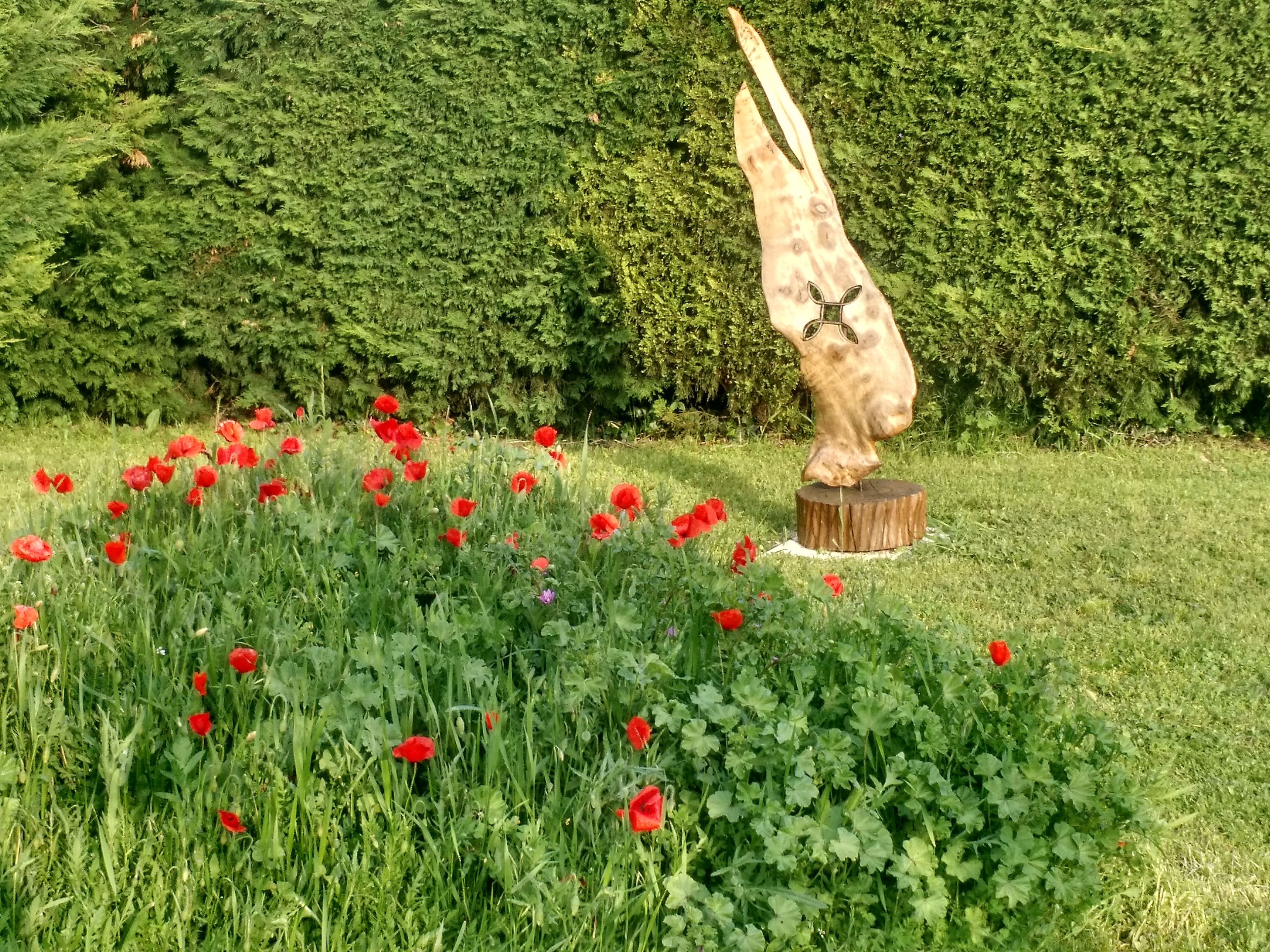 superior double room, garden area | view from room