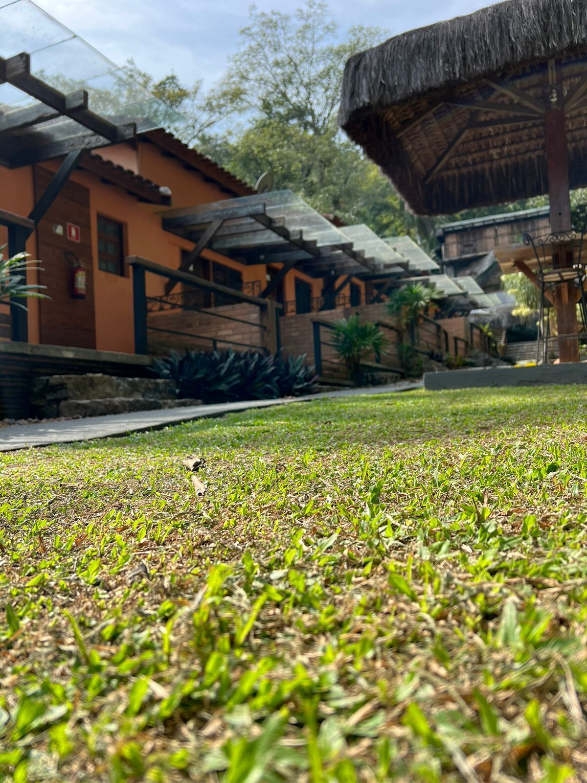 A grassy area with a building in the background.
