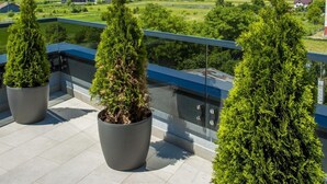 A balcony with potted coniferous trees, a clear view of a town, and a distant mountain range. - Tempo Hotel Targu Mures (Tirgu Mures)