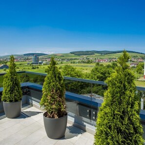 A balcony with potted coniferous trees, a clear view of a town, and a distant mountain range. - Tempo Hotel Targu Mures (Tirgu Mures)