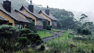 Una hilera de edificios modernos con techos amarillos y chimeneas, en un paisaje verde y exuberante con jardines escalonados.