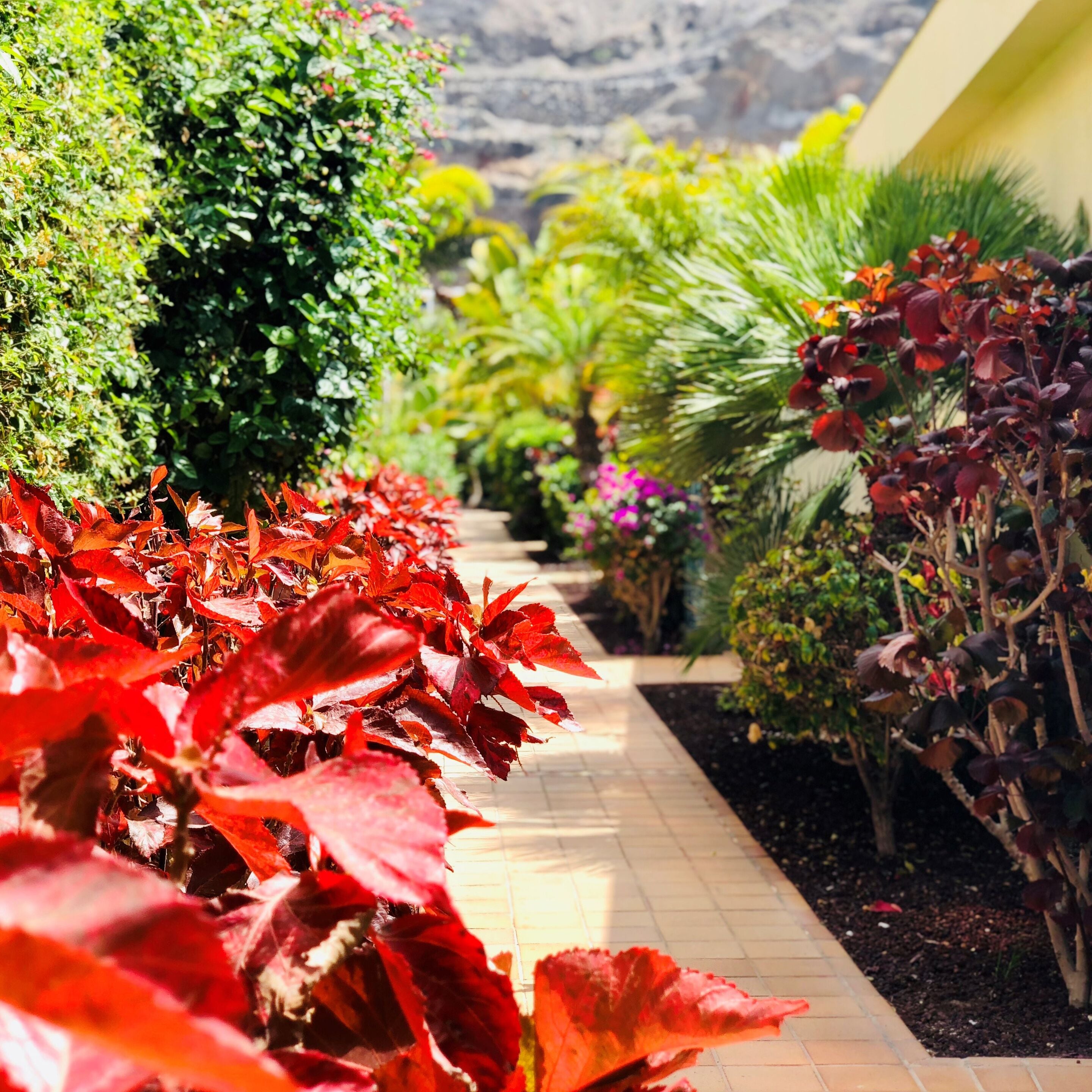 Photo - Holiday Club Playa Amadores