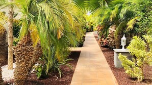 Un sendero bordeado por exuberante vegetación tropical y un camino empedrado.