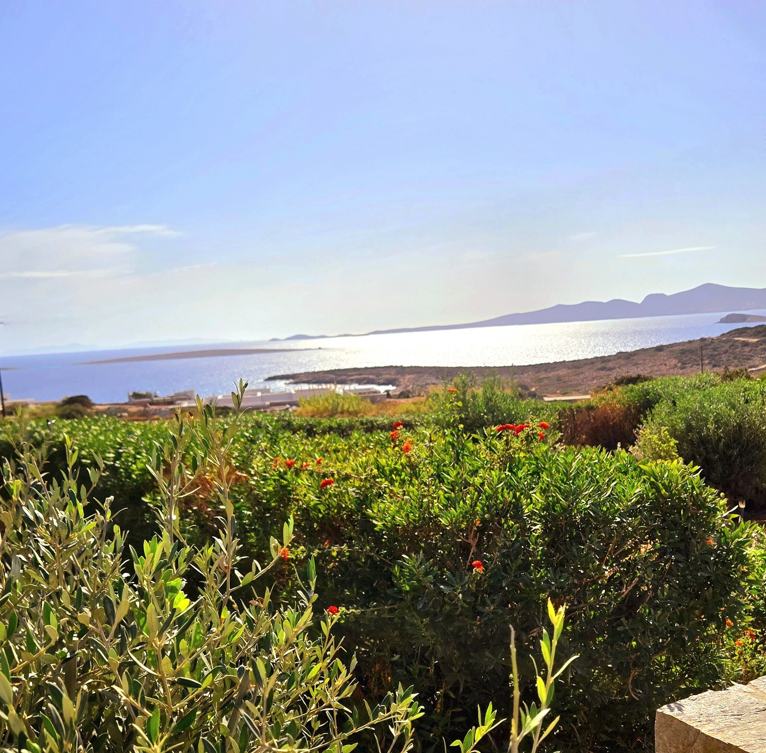 A coastal landscape with a view of the sea and distant mountains.