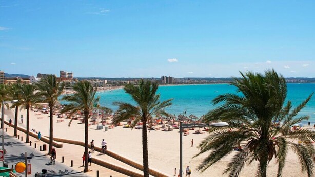 A beach with palm trees, umbrellas, and a clear blue sky. - Hotel Luxor (Palma de Mallorca)