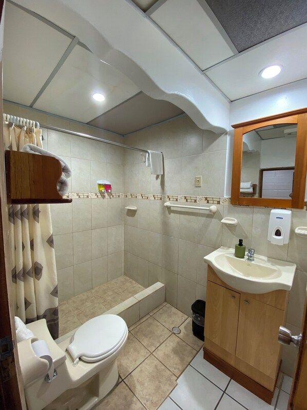 A bathroom with a toilet, sink, shower, and a mirror.