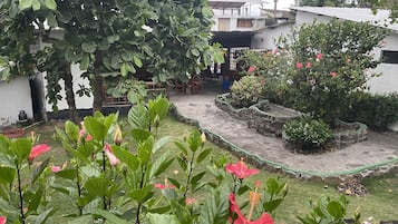 Standard Single Room | View from room
