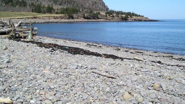 A rocky shoreline with a calm body of water and a forested hill in the background. - Gullivers Cove Oceanview Cottages (Gullivers Cove)