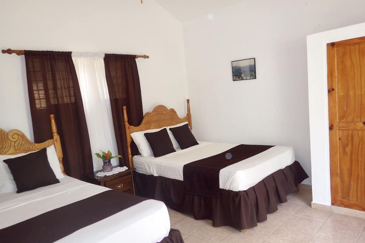 Habitació d'hotel amb dos llits, cadascun amb capçalera de fusta, roba de llit blanca i faldons marrons. Hi ha una taula petita amb un ram de flors i un quadre a la paret.