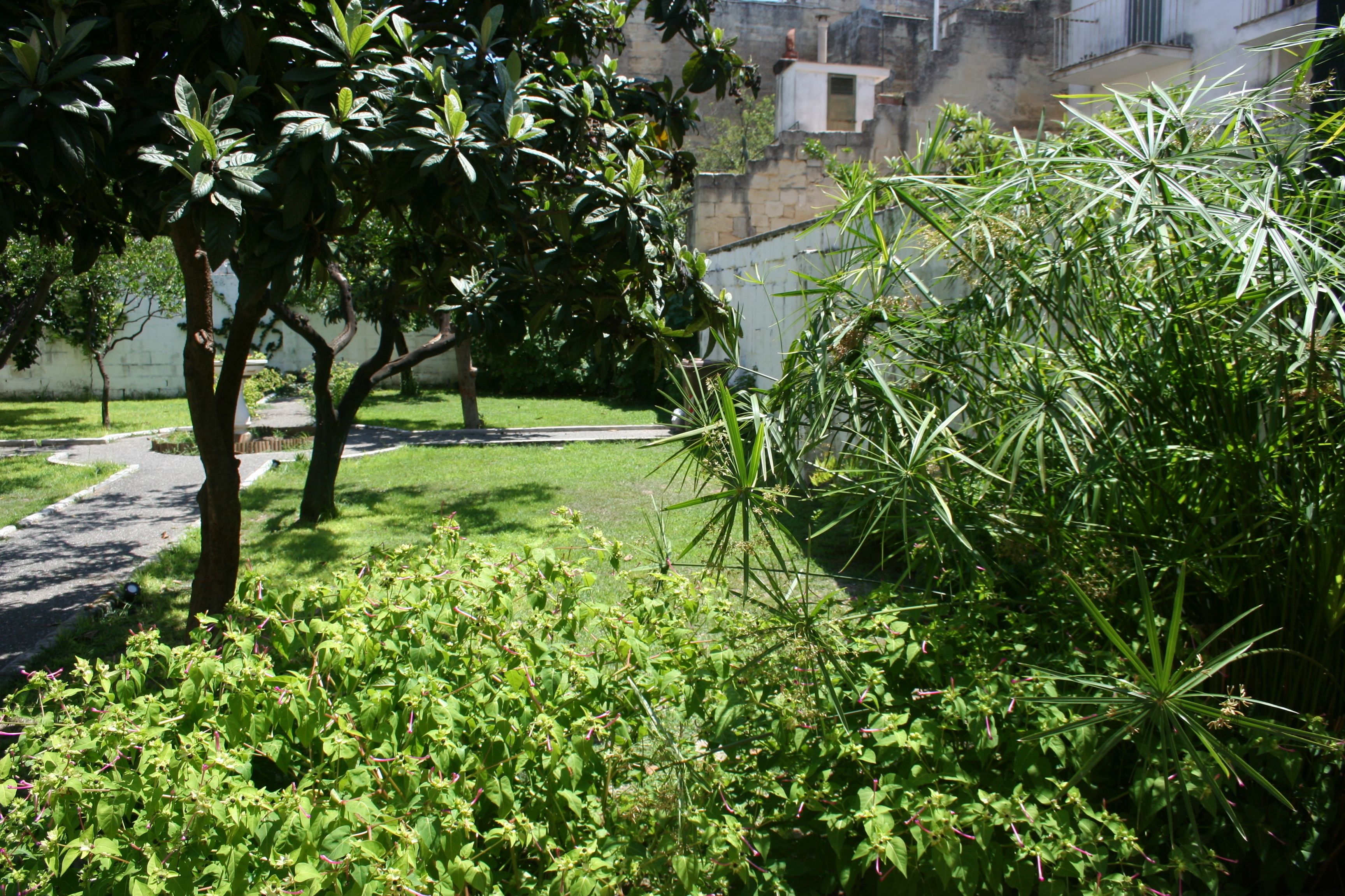 Photo - Urban Oasis Hostel