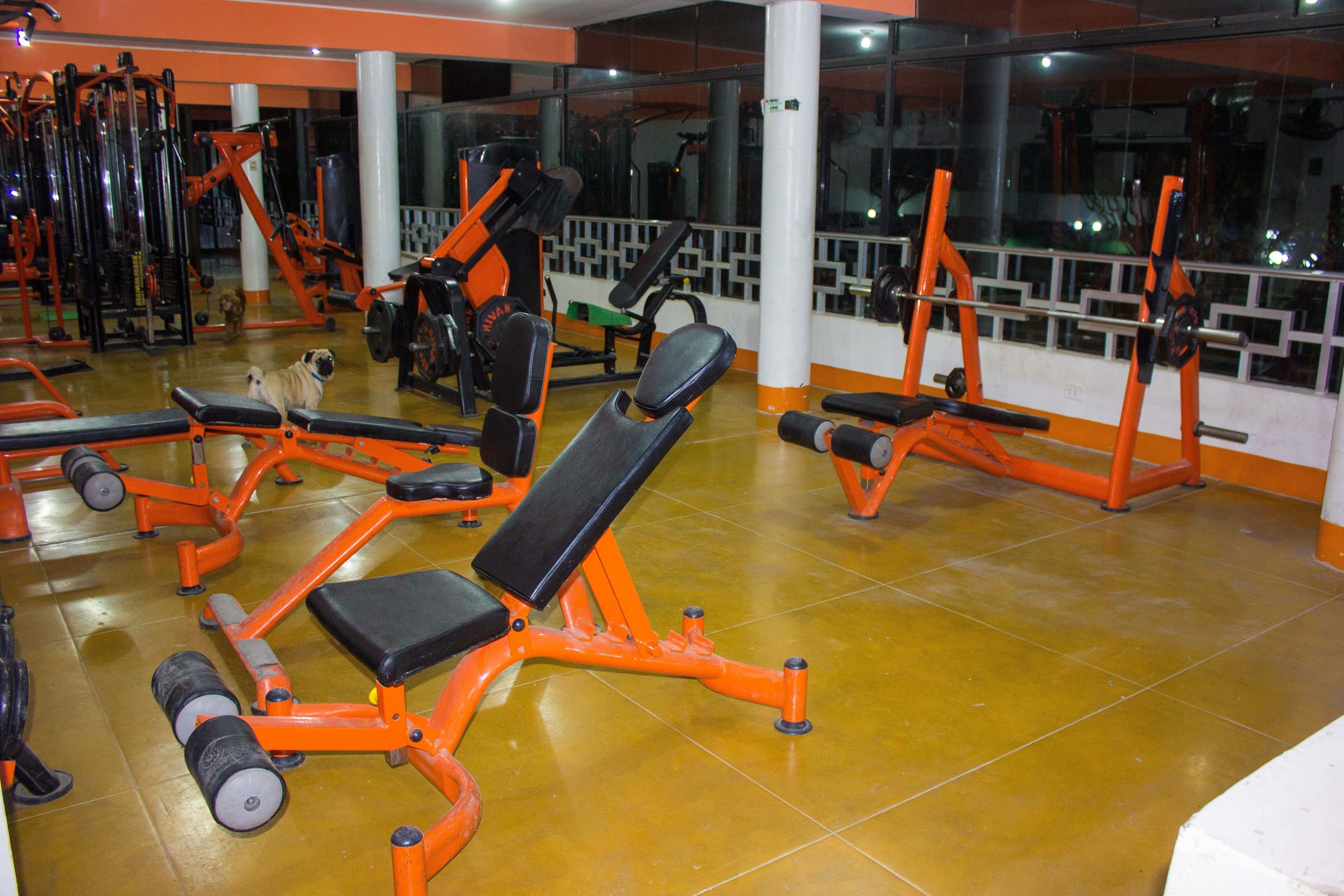 Gimnasio