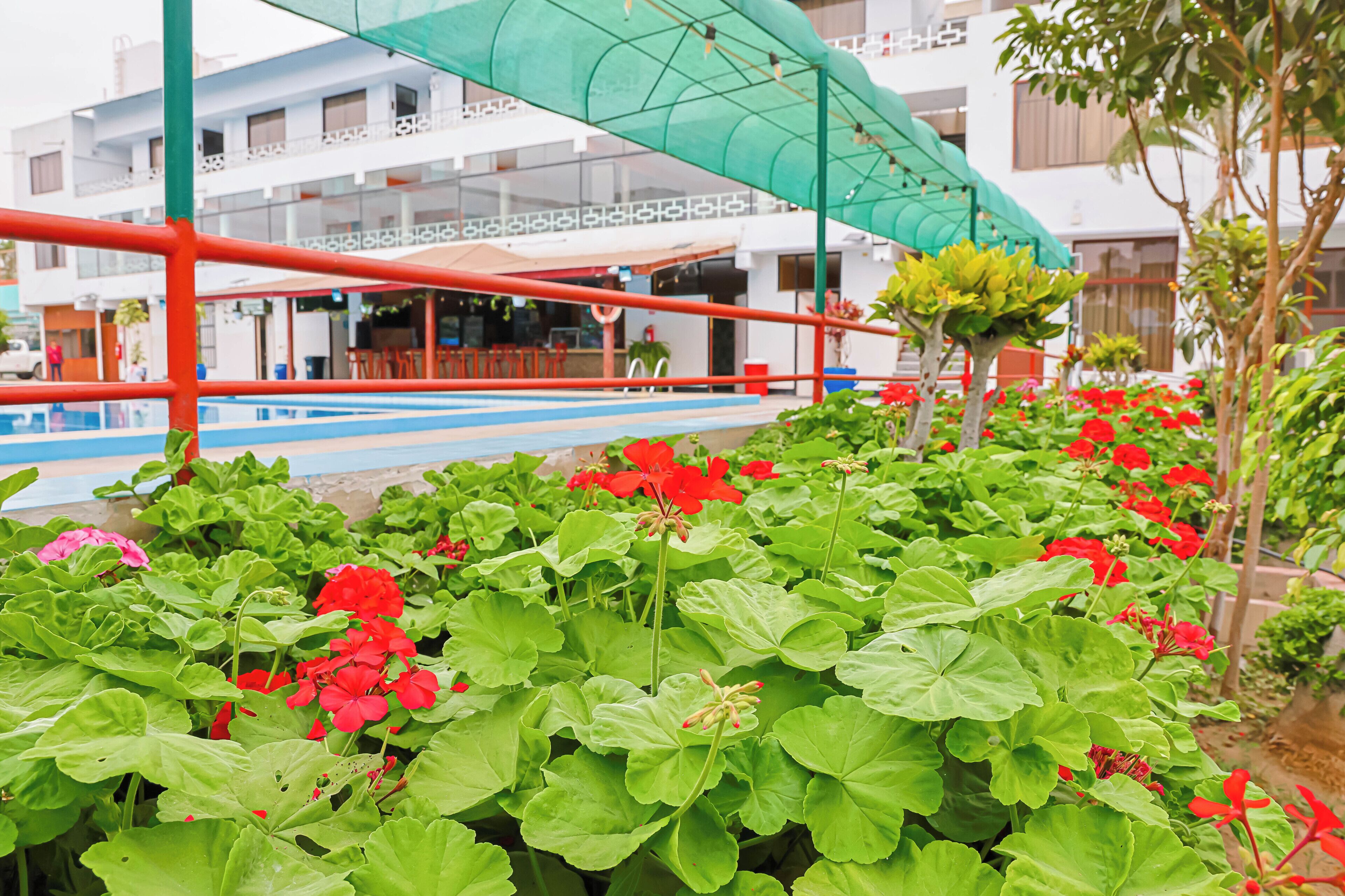 A pool area with red railings, green plants, and a building with balconies in the background.