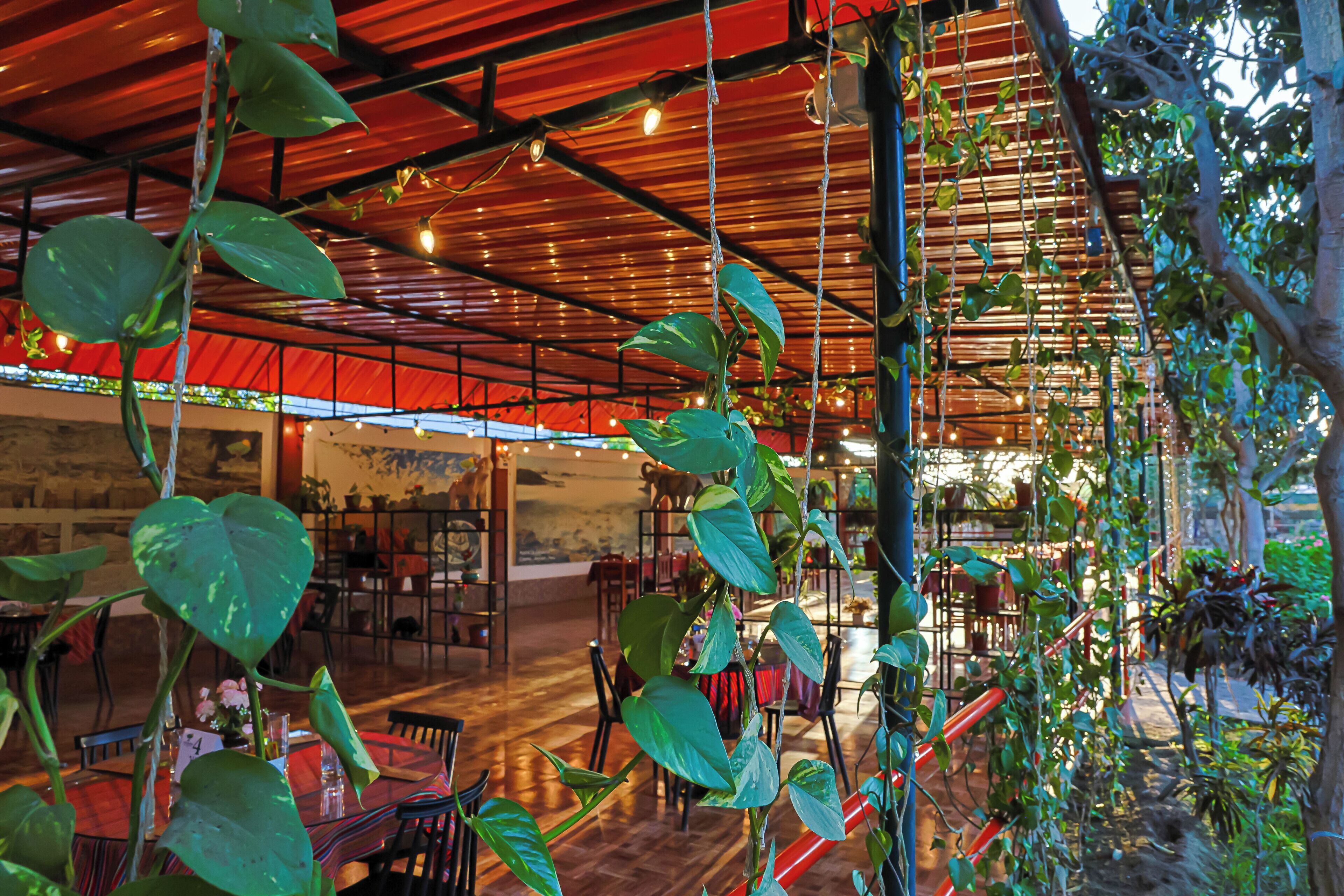 Restaurante al aire libre