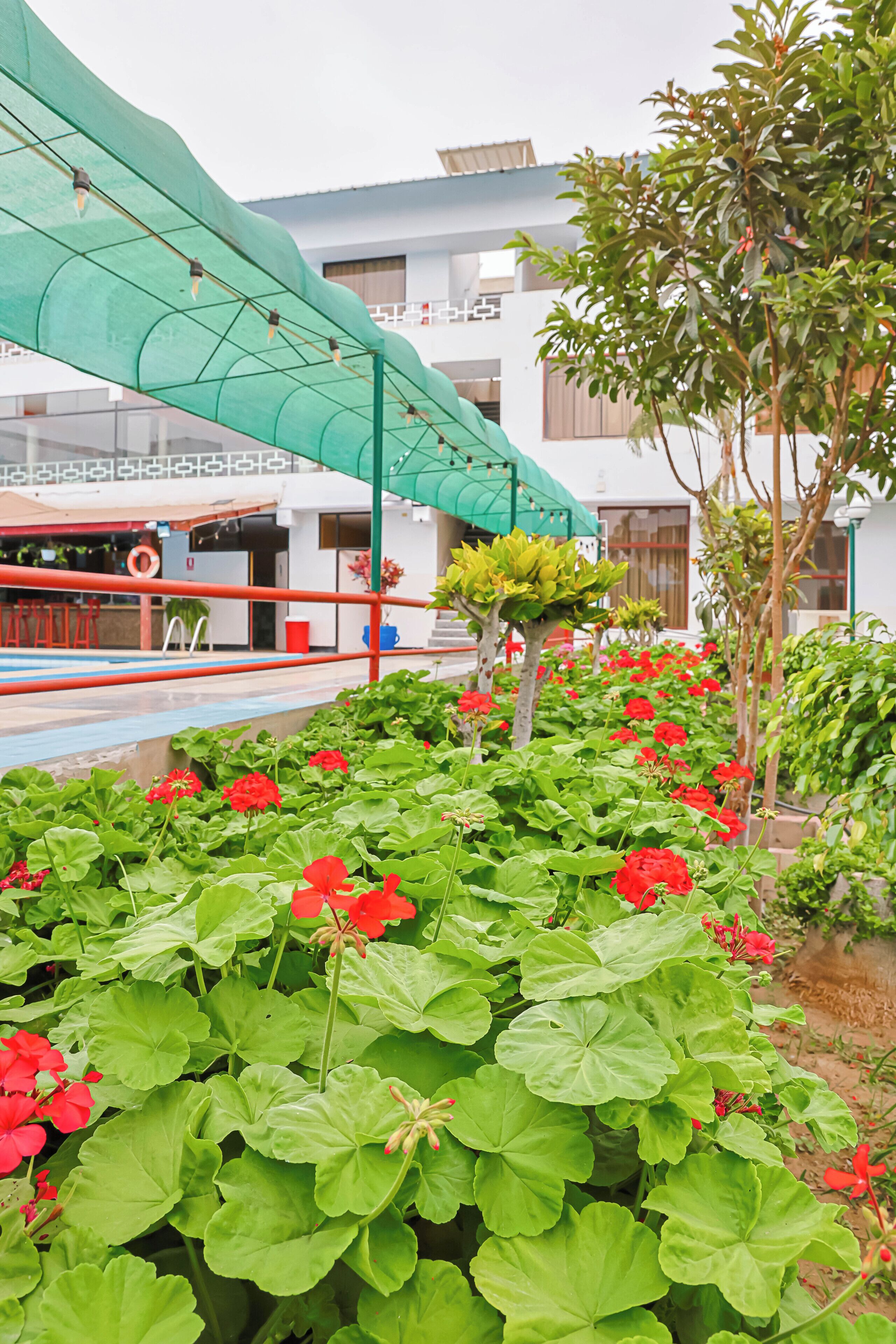 A garden with red flowers, a green canopy, and a building with windows.
