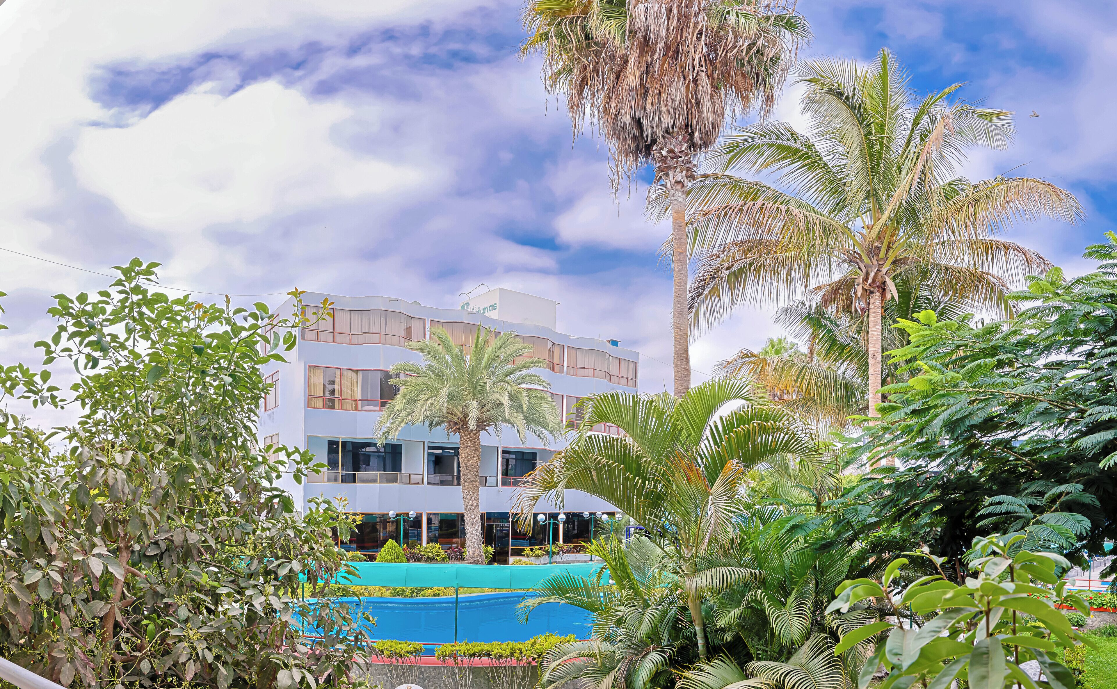 Vista al jardín
