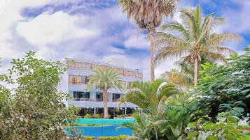 Vista al jardín