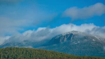 A mountain with a forested foreground and a clear sky.