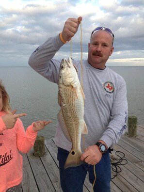 Miscellaneous - Awesome getaway on the Bay! 265' pier; spa, tons of amenities, great views (Bacliff)