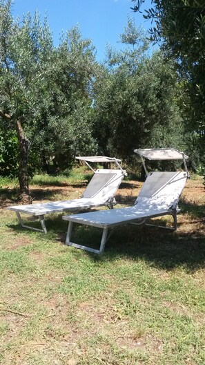 Property grounds - WI-FI AMONG THE OLIVE TREES BY THE SEA IN SPERLONGA (Sperlonga)