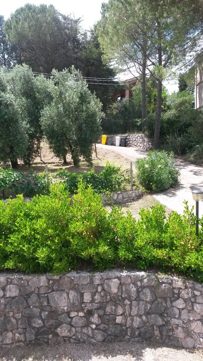 WI-FI AMONG THE OLIVE TREES BY THE SEA IN SPERLONGA