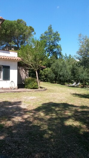 Property grounds - WI-FI AMONG THE OLIVE TREES BY THE SEA IN SPERLONGA (Sperlonga)