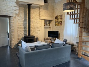 TV, fireplace, books