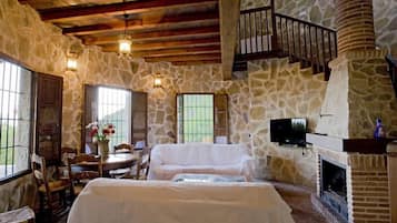 TV connectée, cheminée, lecteur de DVD, livres