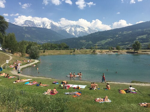 Superb Central Chamonix Apartment, Great Views, next to the beginners slopes