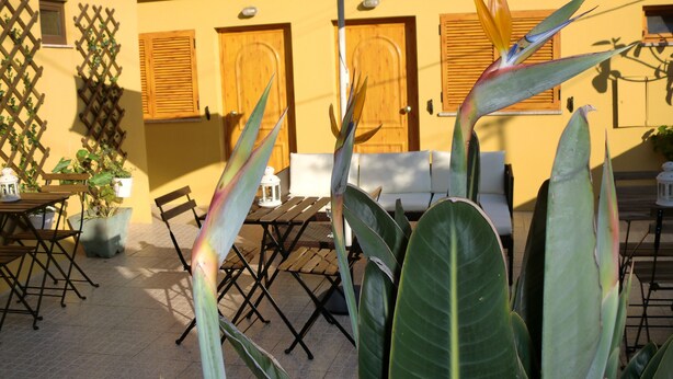 Un patio al aire libre con mesa y sillas de madera, rodeado de plantas verdes exuberantes y una pared amarilla con puertas de madera.