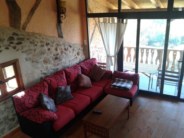 TV, fireplace, books