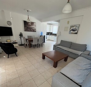 TV, fireplace, DVD player, books