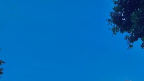 A grassy area with a pool and lounge chairs, surrounded by trees and a clear sky. - Apartment in Farmhouse (Montepulciano)