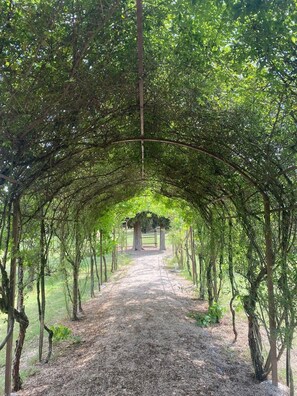 Jardines del alojamiento