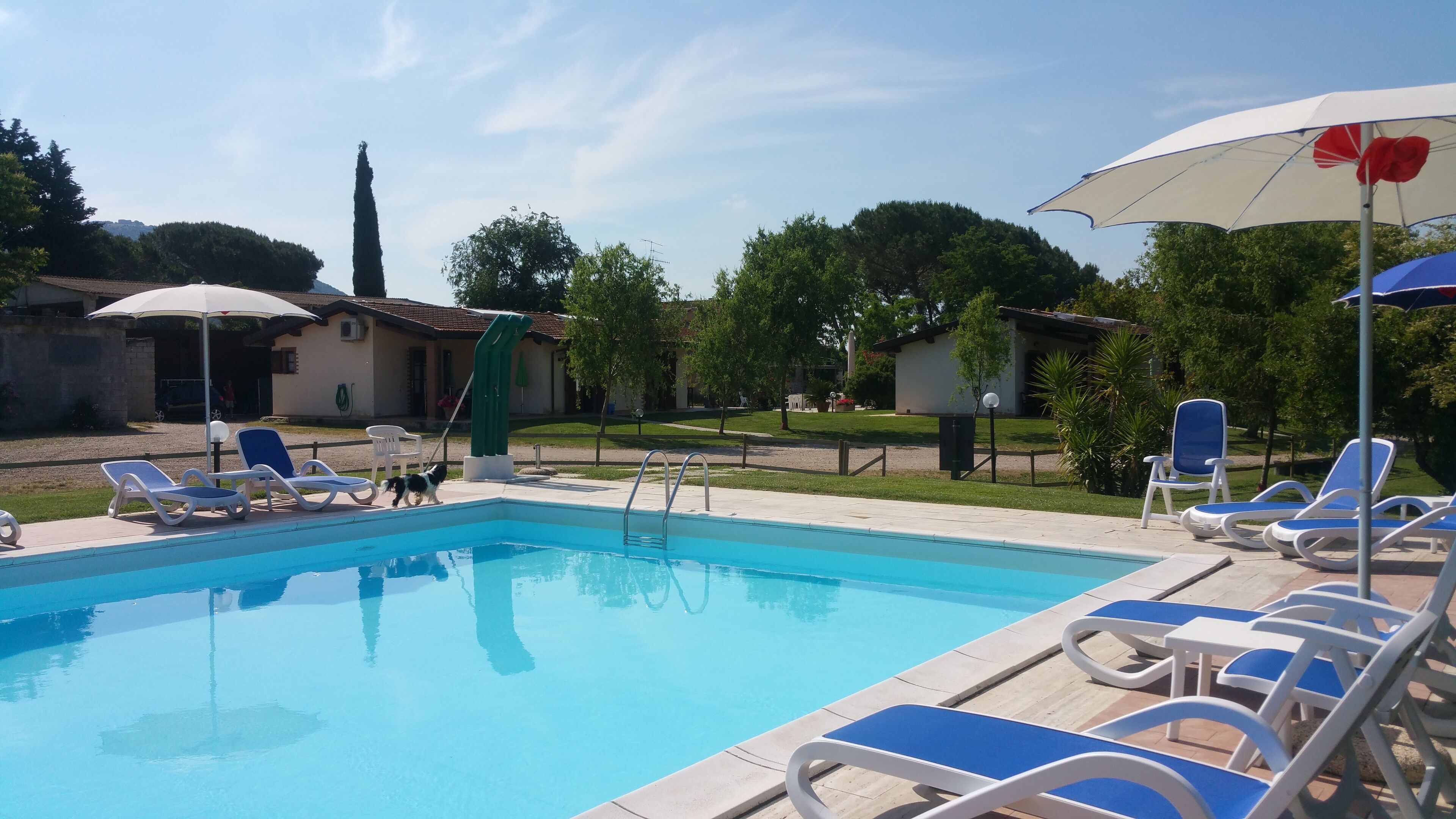 A swimming pool with lounge chairs and umbrellas, surrounded by greenery and buildings.