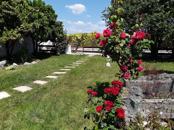 Un sentier de jardin mène à un belvédère blanc, entouré d’une végétation luxuriante et de plantes en fleurs.