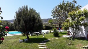 Ein Poolbereich mit einem klaren, blauen Pool, umgeben von einer gepflegten Rasenfläche und verschiedenen Bäumen.