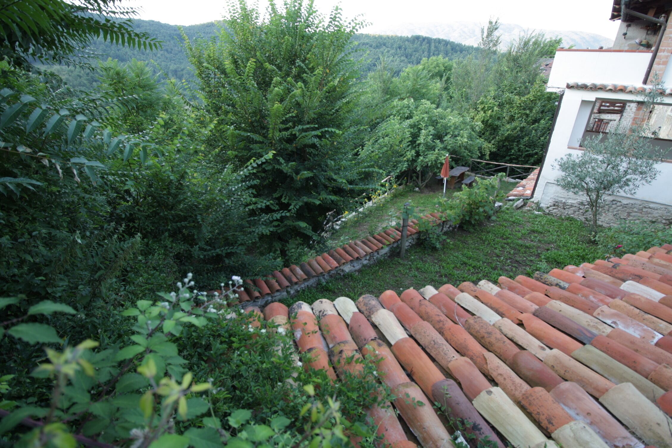 Un jardín en terrazas con diversos tipos de plantas y árboles, un muro de piedra y un edificio con tejado de baldosas.