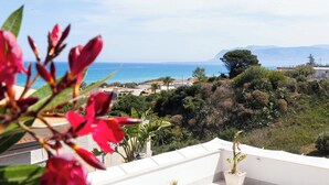 A coastal view with a balcony overlooking the sea, lush greenery, and distant mountains. - APARTMENT IN VILLA 200 METERS FROM THE SEA WI FI CAR RENTAL UC (castellammare del golfo)